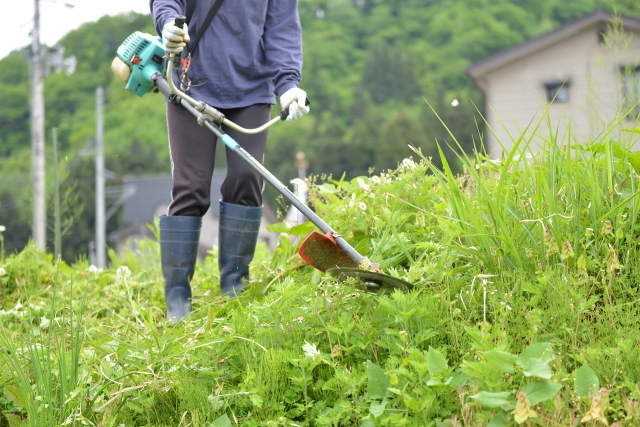 福山市で草刈りに最適な年3回の時期～楽に草刈りを終えるコツまで徹底解説