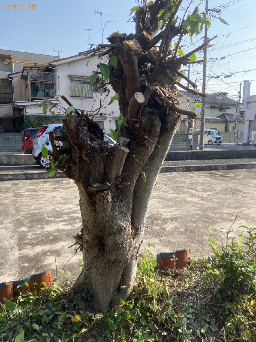 【福山市多治米町】伐採後の木の枝の回収・処分ご依頼　お客様の声